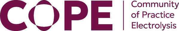 COPE | Workshop in Hamburg: Harmonisation of electrolyser test protocols