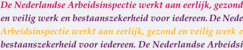 Meerjarenplan 2027-2030 Nederlandse Arbeidsinspectie