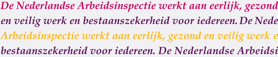 Meerjarenplan 2027-2030 Nederlandse Arbeidsinspectie