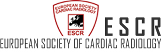 ESCR Educational Hands-On Course - Module 1: CT primer for radiologists (29.02.-01.03.16)