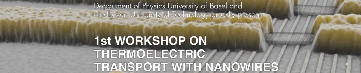 1st Workshop on Thermo-Electric Transport in Nanowires