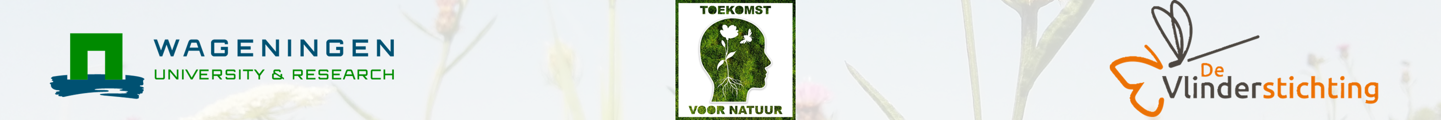 website banner