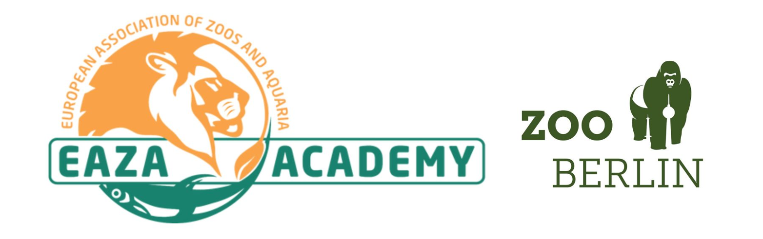 website banner