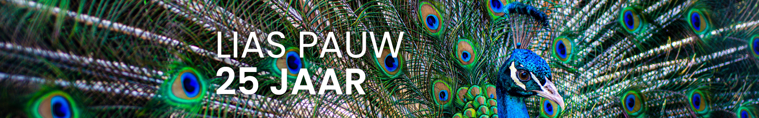 website banner