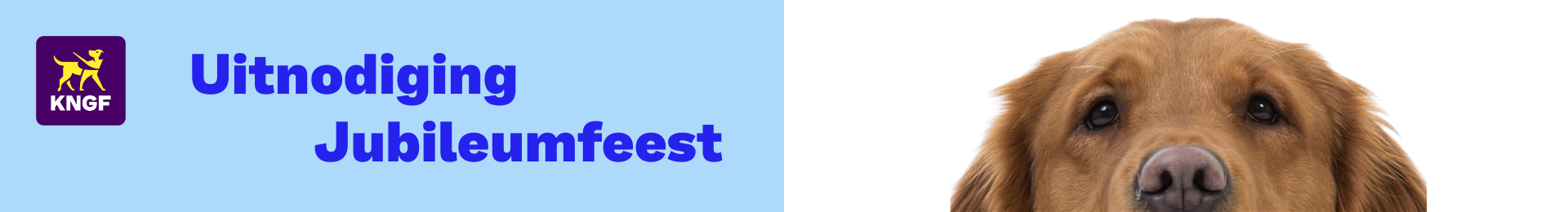 website banner