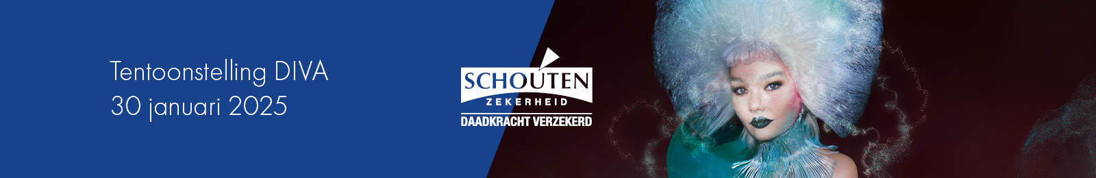 website banner