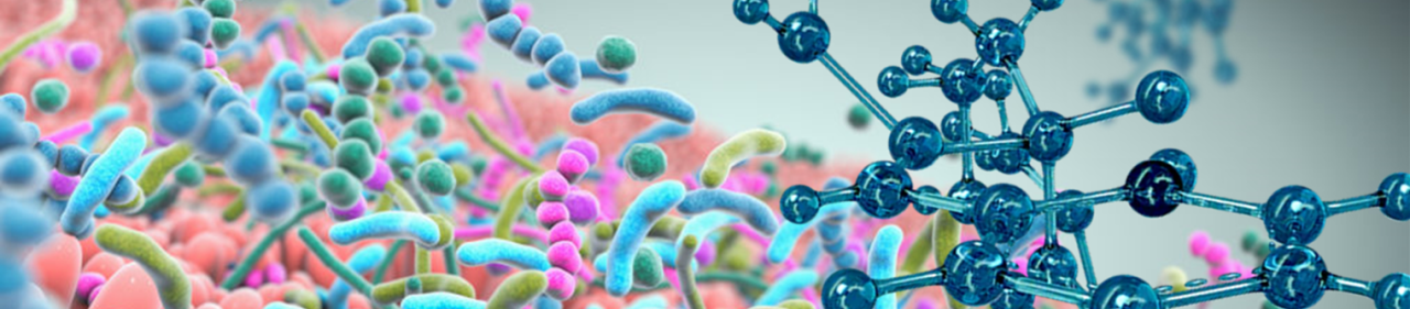 website banner