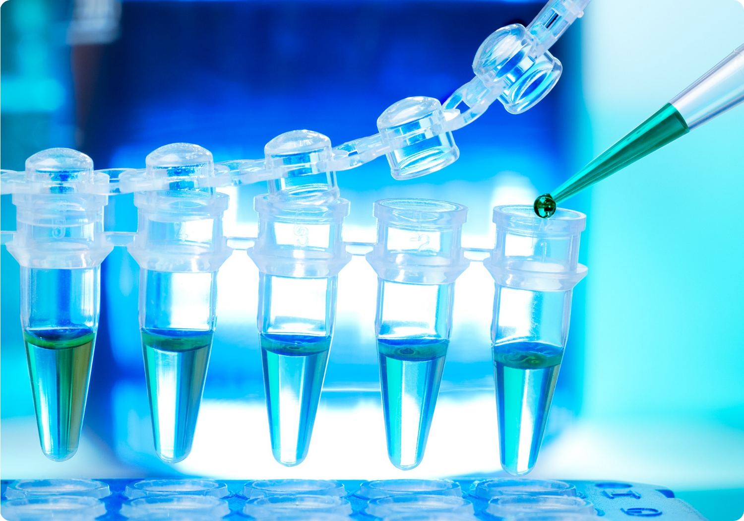 Lab Technology 2025