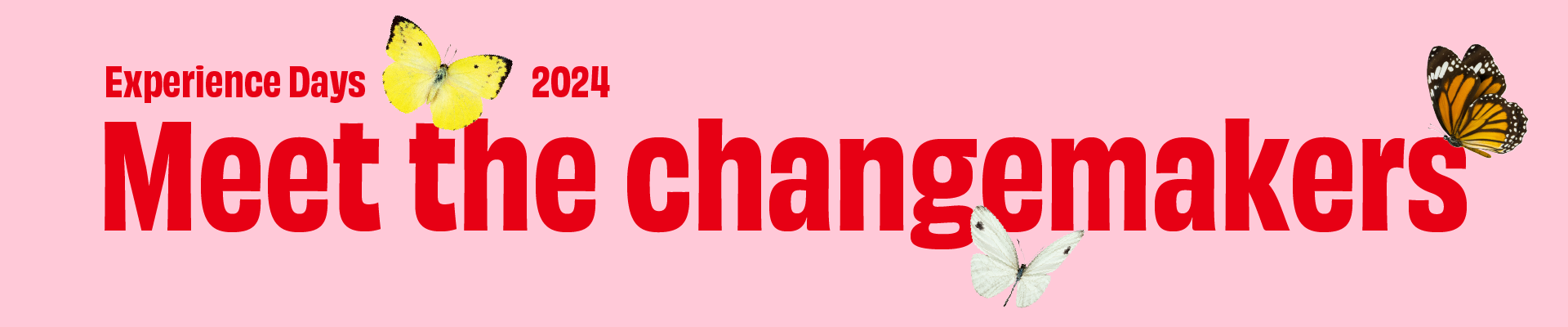 website banner