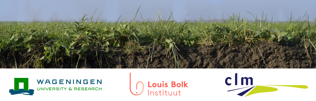 website banner