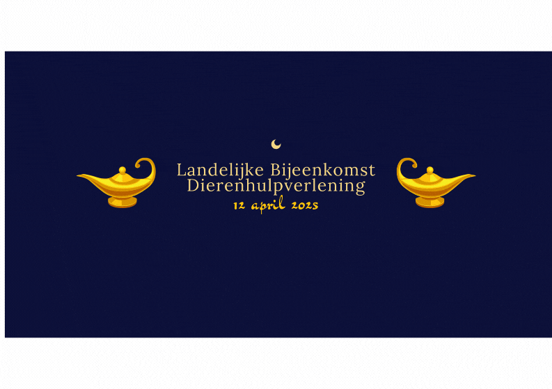 website banner