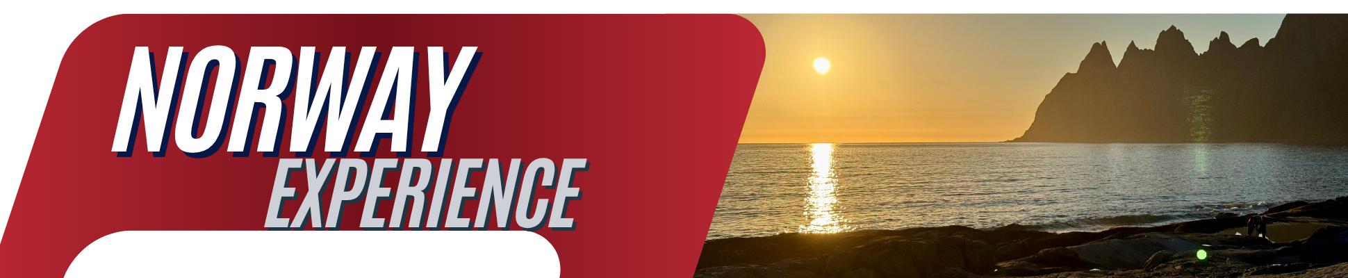 website banner