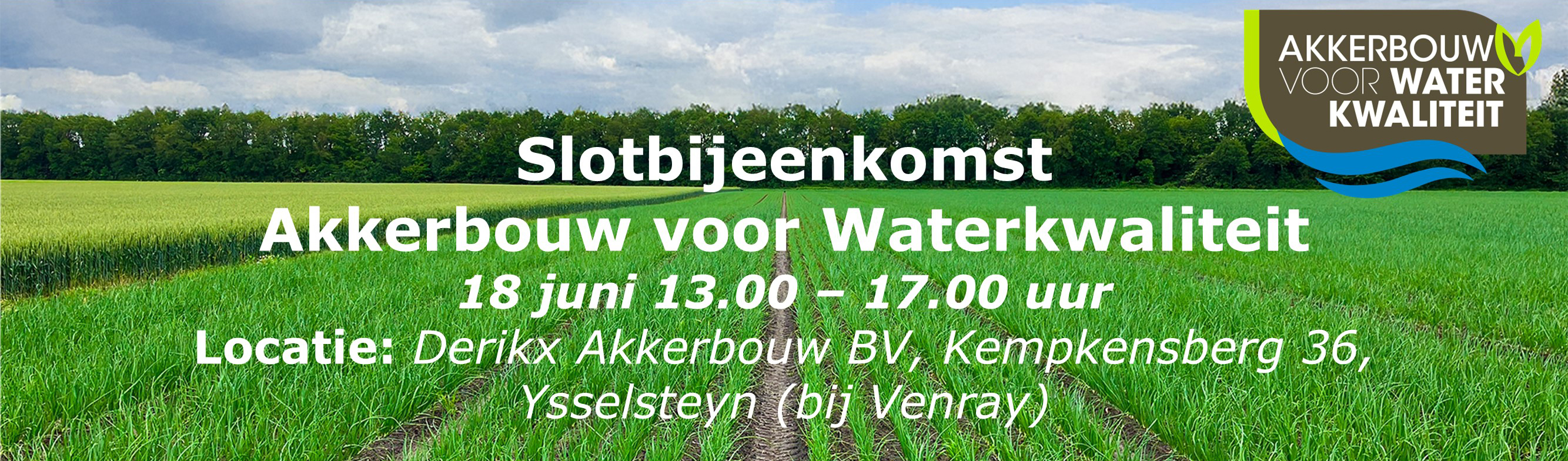 website banner