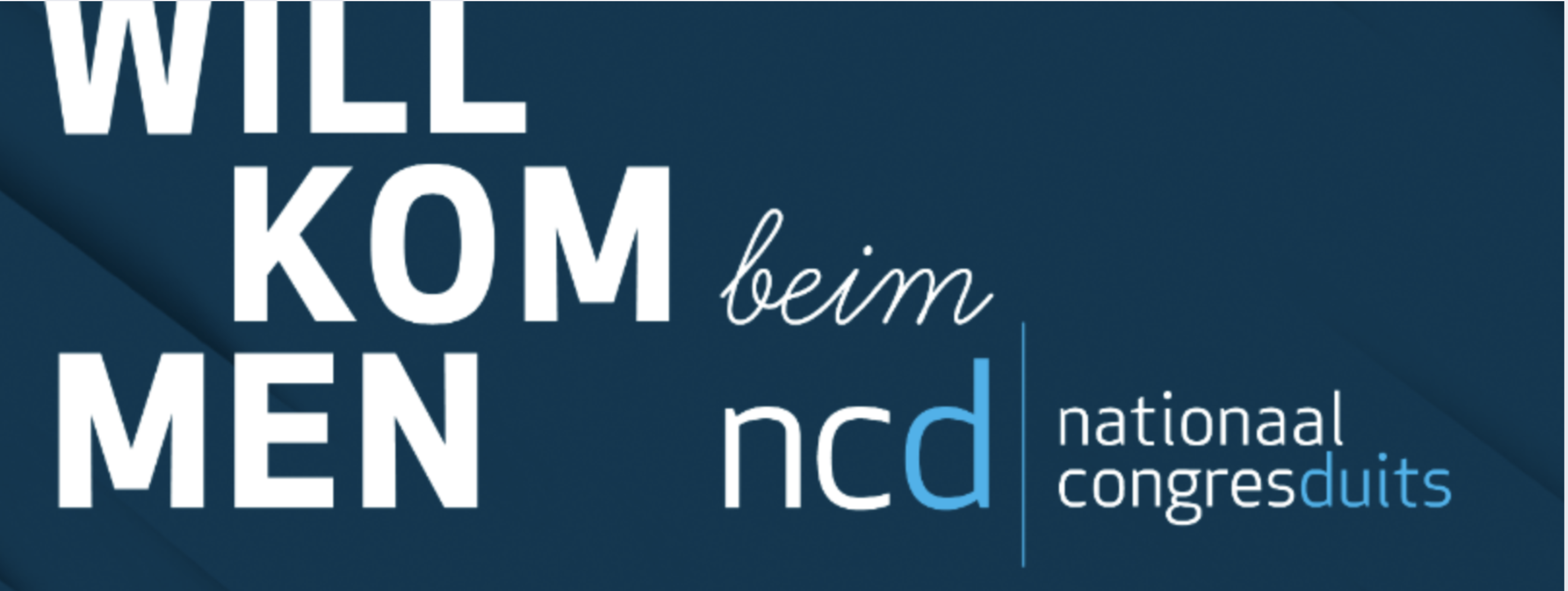 website banner