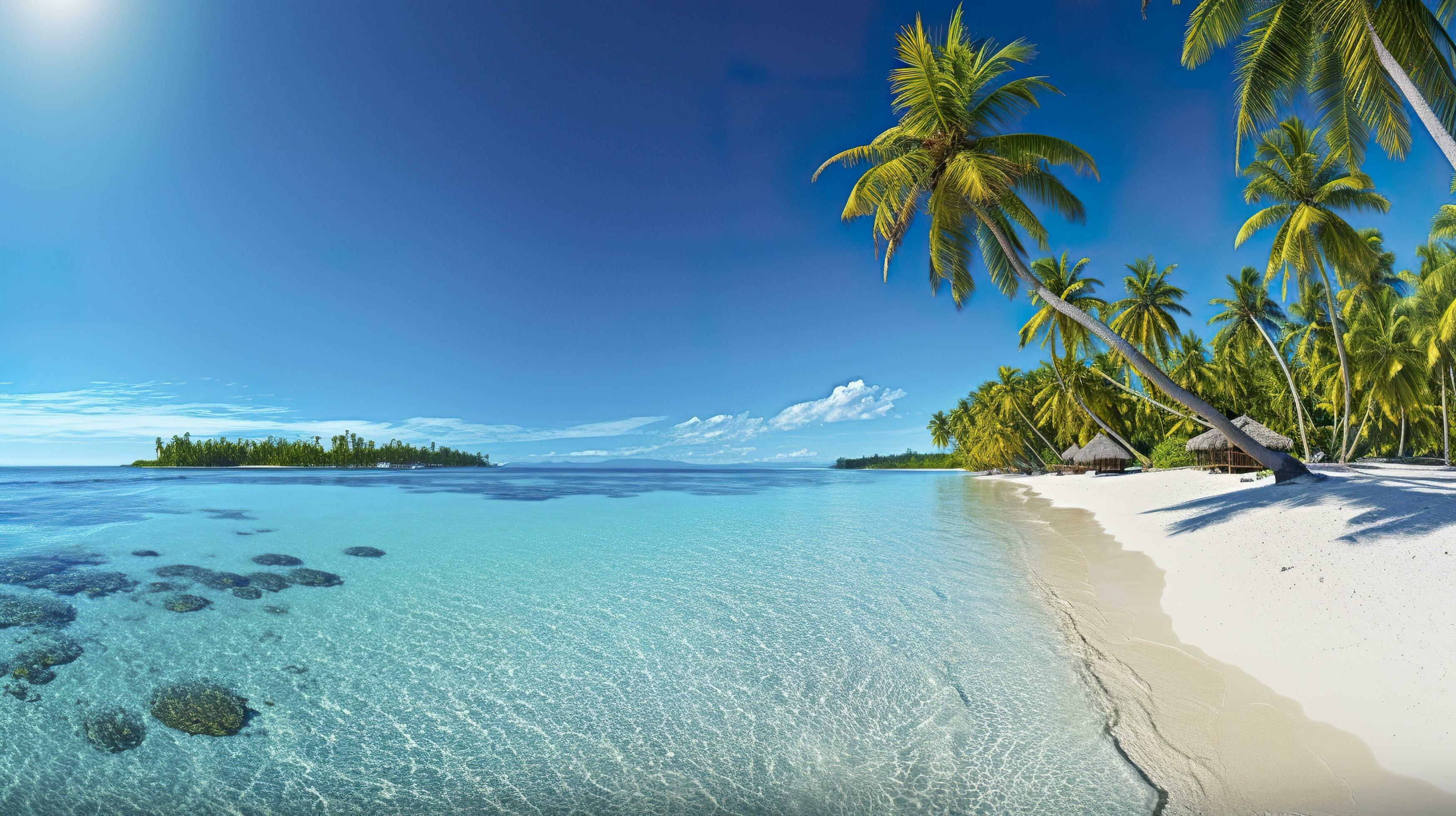 website banner
