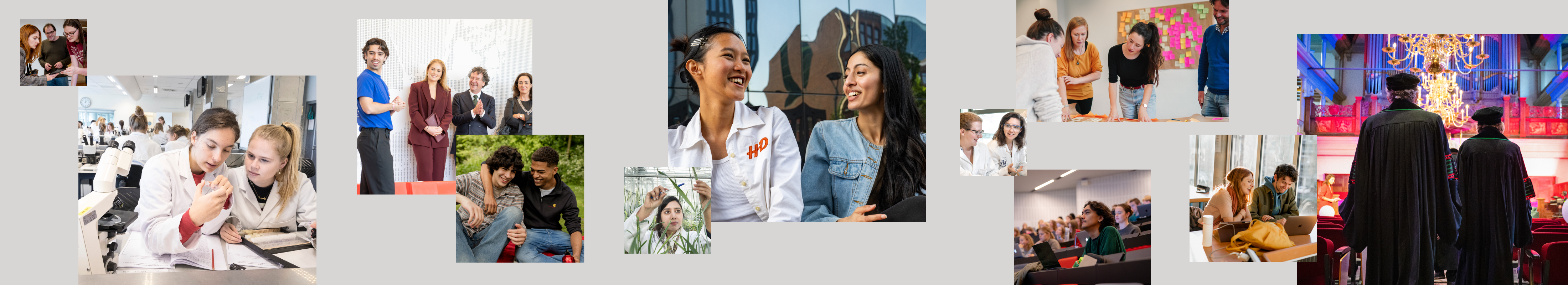 website banner