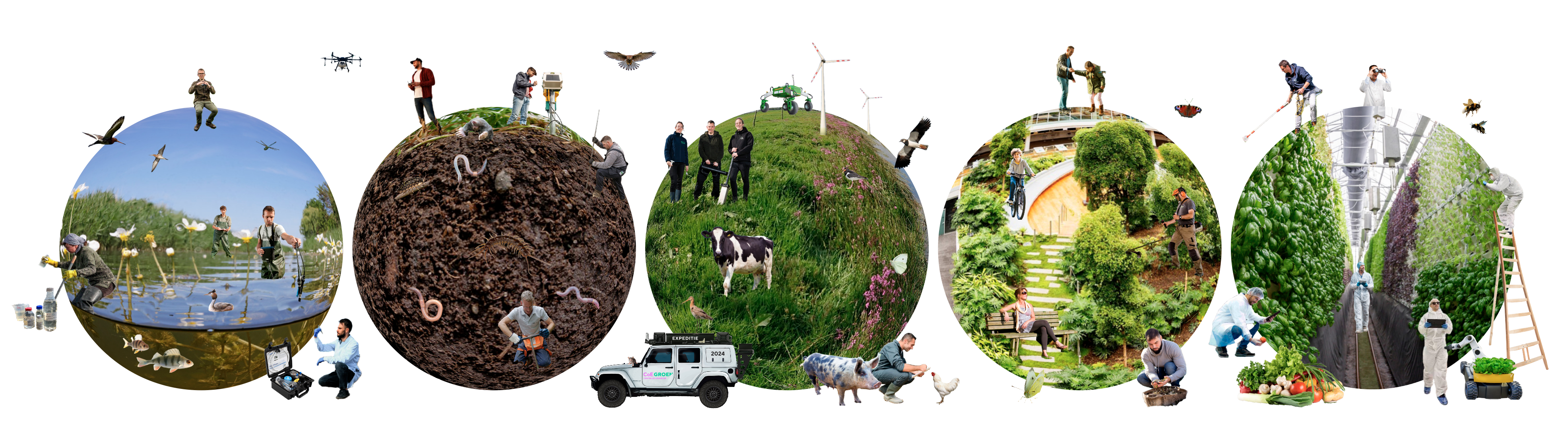 website banner
