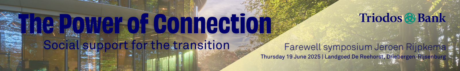 website banner